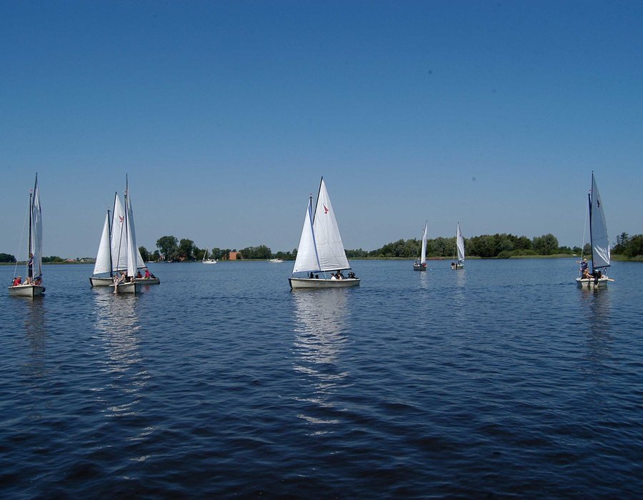 Valk mieten in Friesland